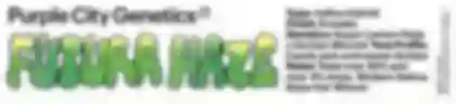 Candies Season FW26
